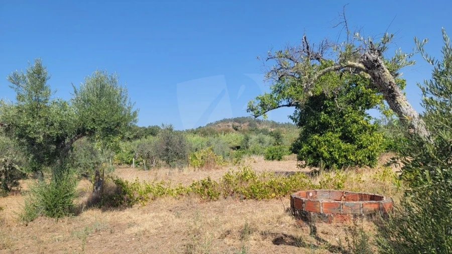 Terreno Agricola ou Rústico para Venda em Santo Andre das Tojeiras