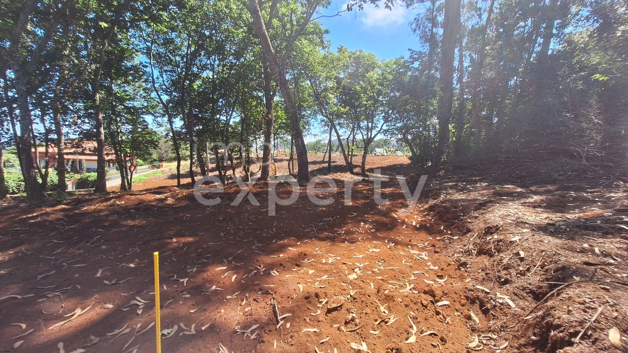 Terreno para Venda em Santana Foto 5