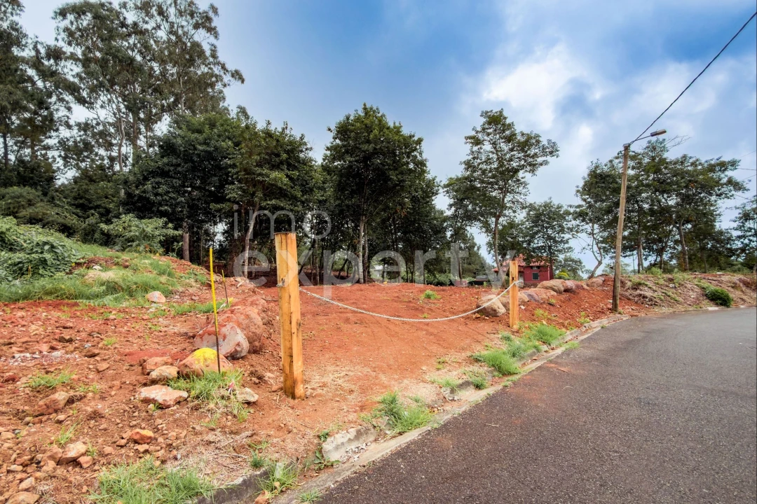 Terreno para Venda em Santana Foto 20