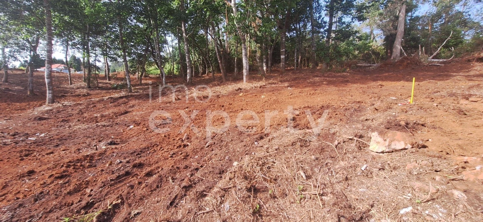 Terreno para Venda em Santana Foto 23