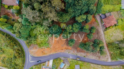 Terreno para Venda em Santana