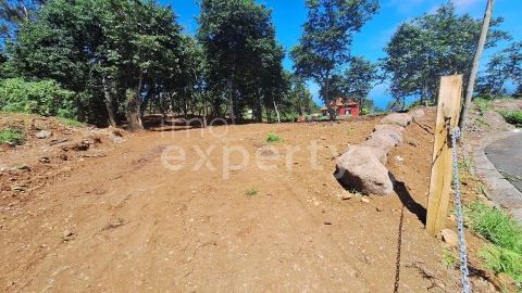 Terreno para Venda em Santana