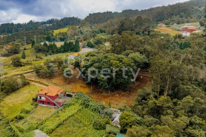 Terreno para Venda em Santana