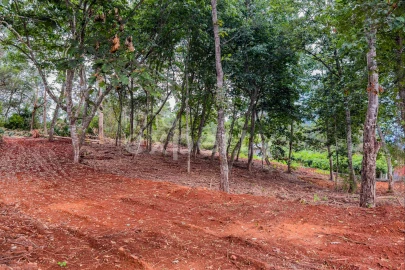 Terreno para Venda em Santana