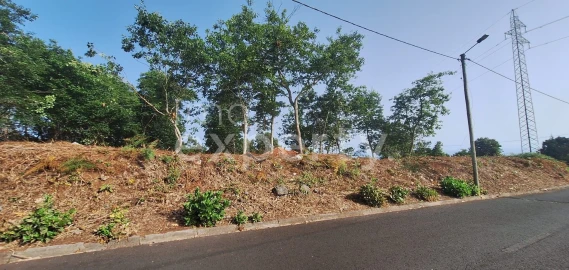 Terreno para Venda em Santana