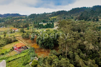 Terreno para Venda em Santana