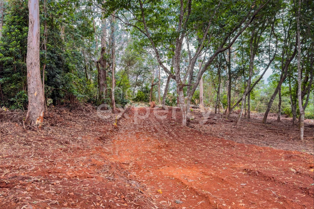 Terreno para Venda em Santana Foto 21
