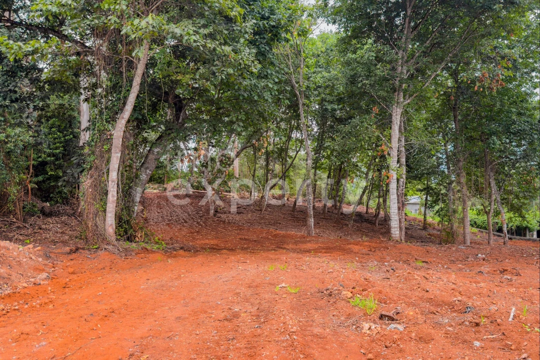 Terreno para Venda em Santana Foto 13