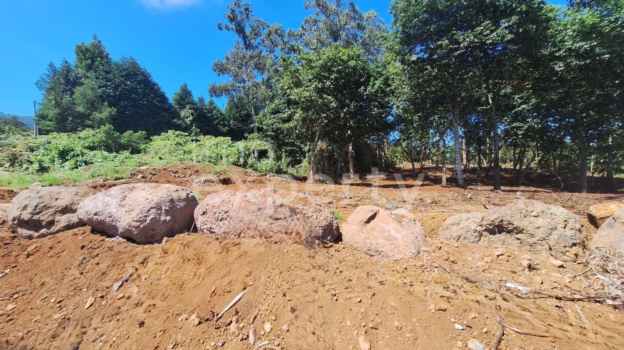 Terreno para Venda em Santana Foto 6