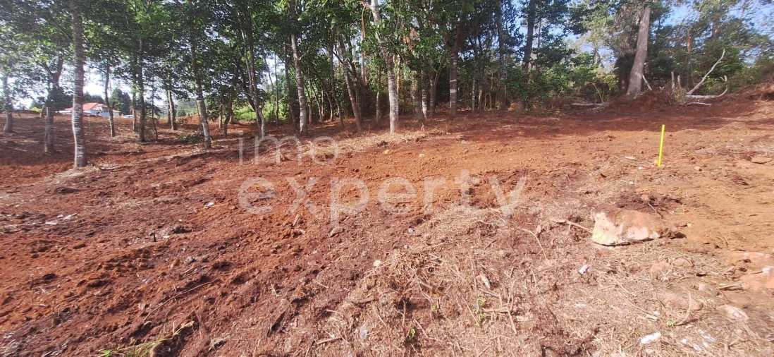 Terreno para Venda em Santana Foto 23