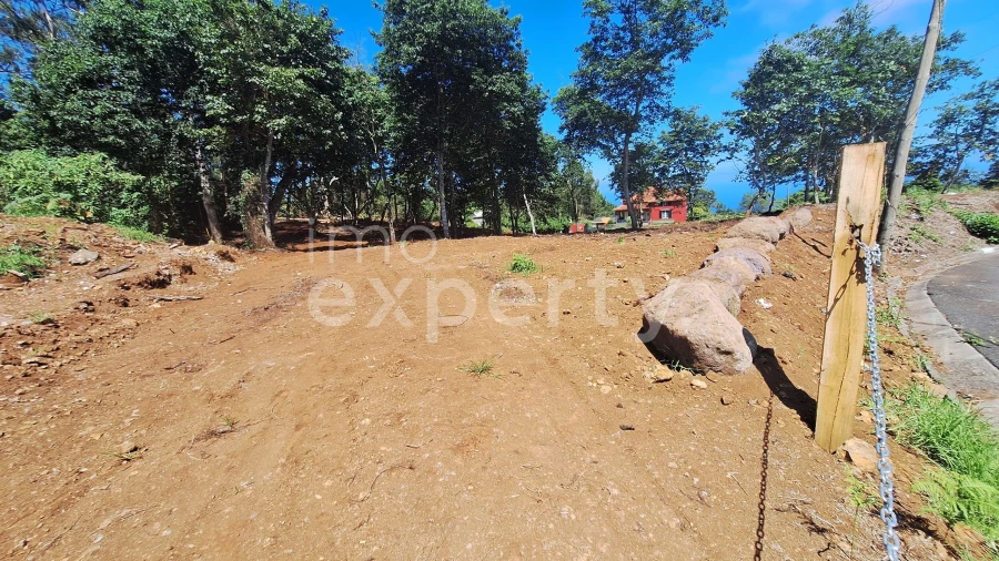 Terreno para Venda em Santana Foto 7
