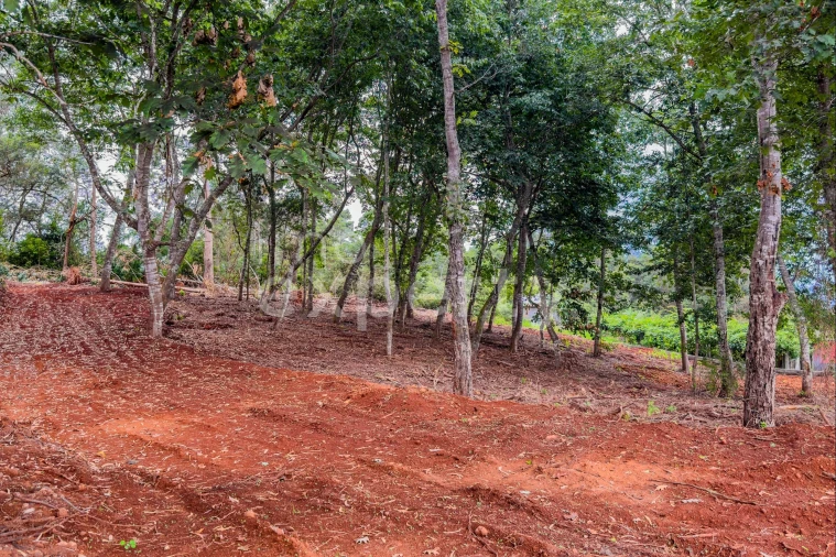 Terreno para Venda em Santana Foto 12