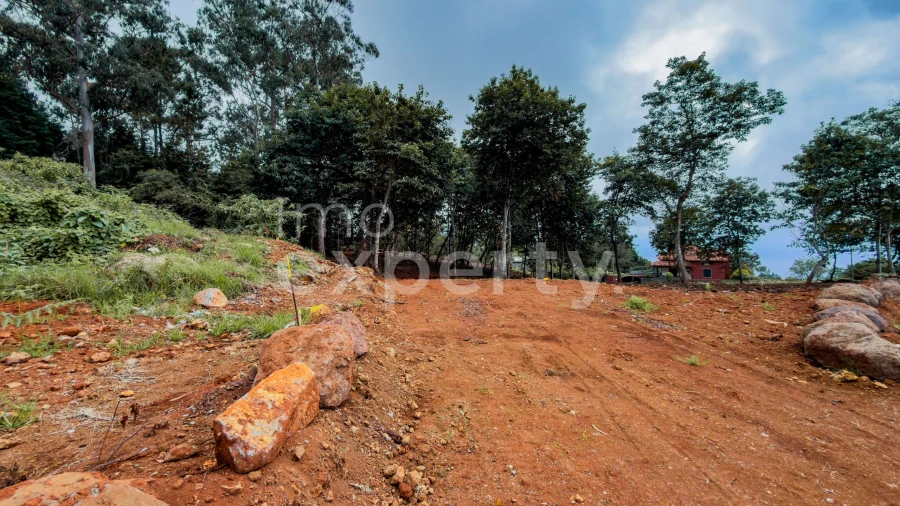Terreno para Venda em Santana Foto 19