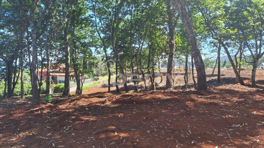 Terreno para Venda em Santana Foto 3