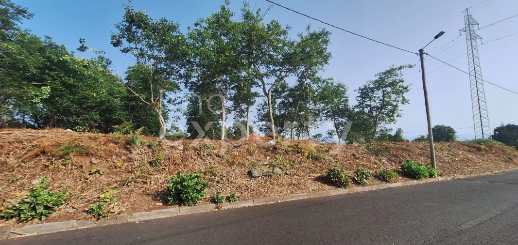 Terreno para Venda em Santana Foto 32