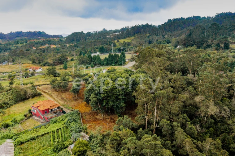 Terreno para Venda em Santana Foto 14