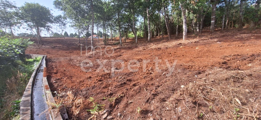Terreno para Venda em Santana Foto 27