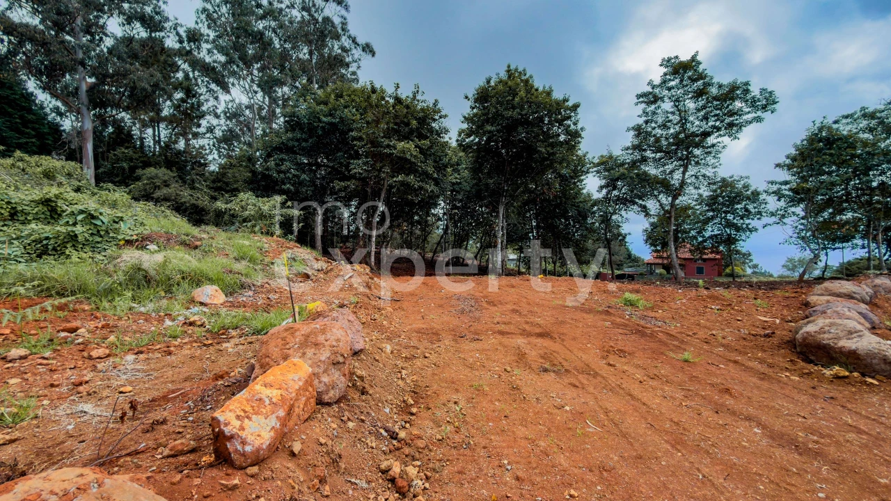 Terreno para Venda em Santana Foto 19