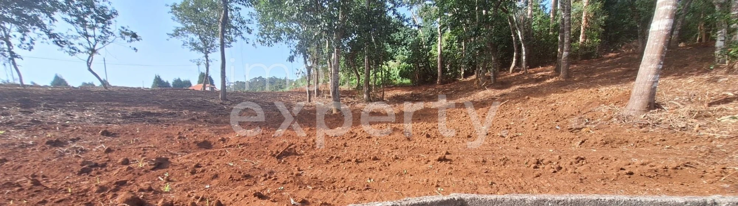 Terreno para Venda em Santana Foto 26
