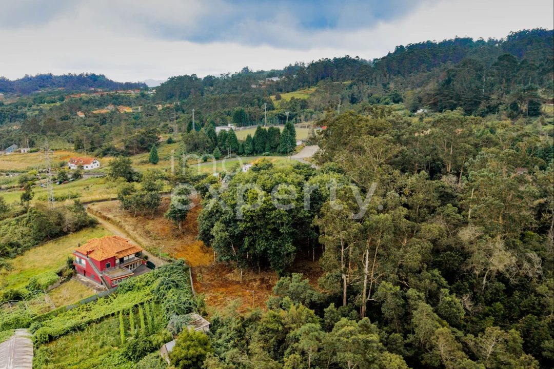 Terreno para Venda em Santana Foto 14