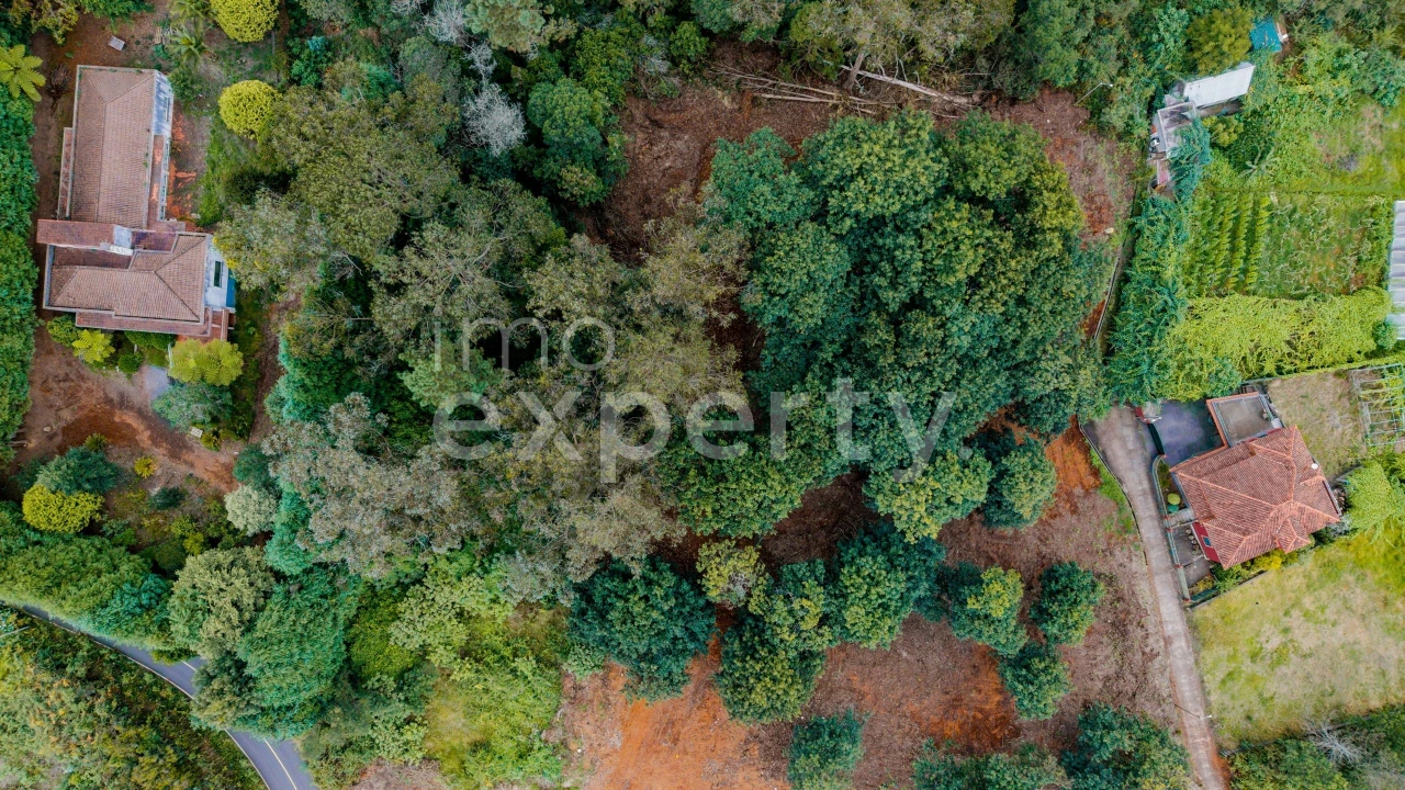Terreno para Venda em Santana Foto 17