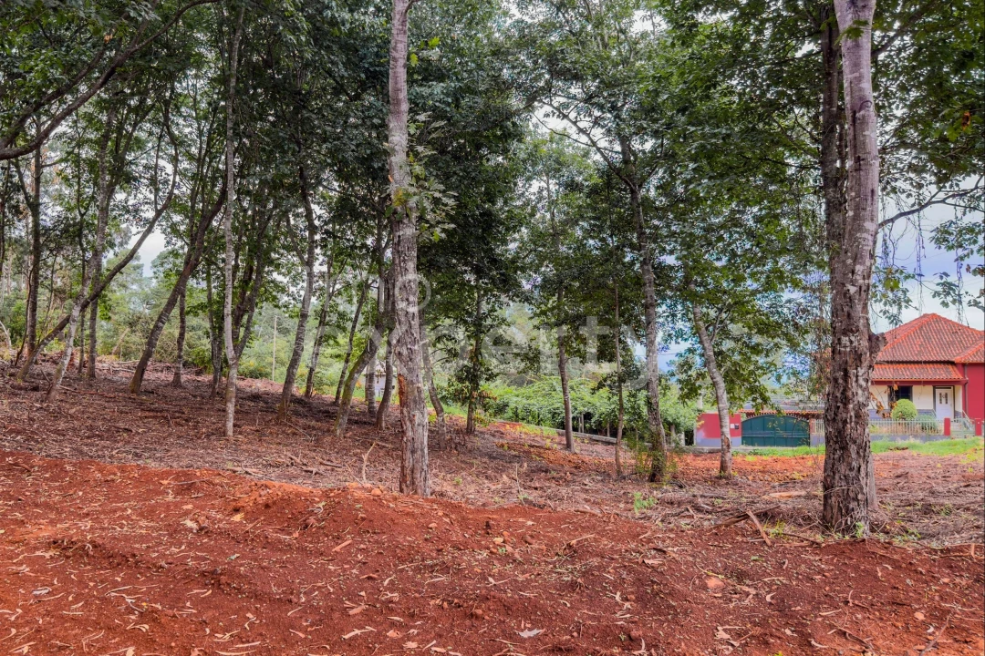Terreno para Venda em Santana Foto 11