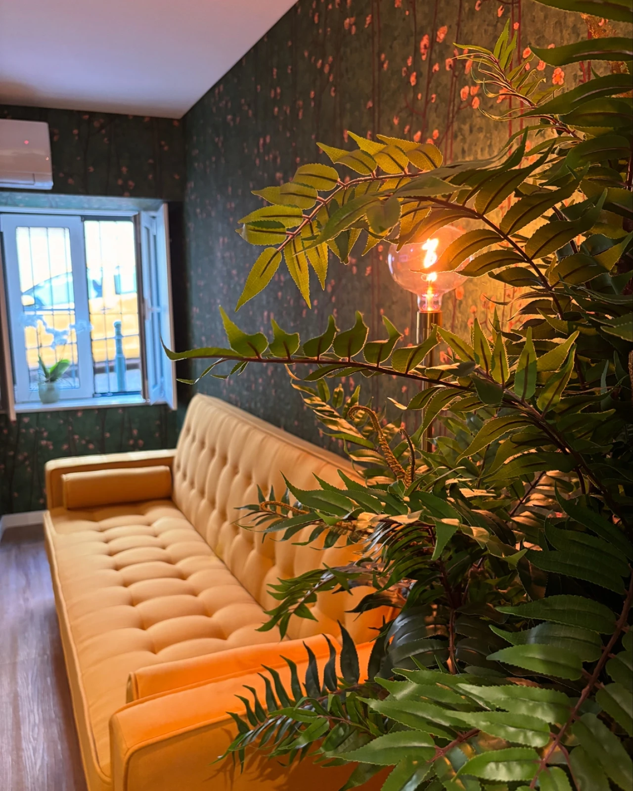 Apartamento T1 para Venda em Santo António Foto 5
