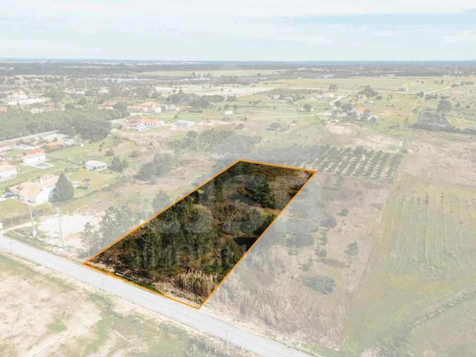 Terreno para Venda em Santo Estêvão Foto 4