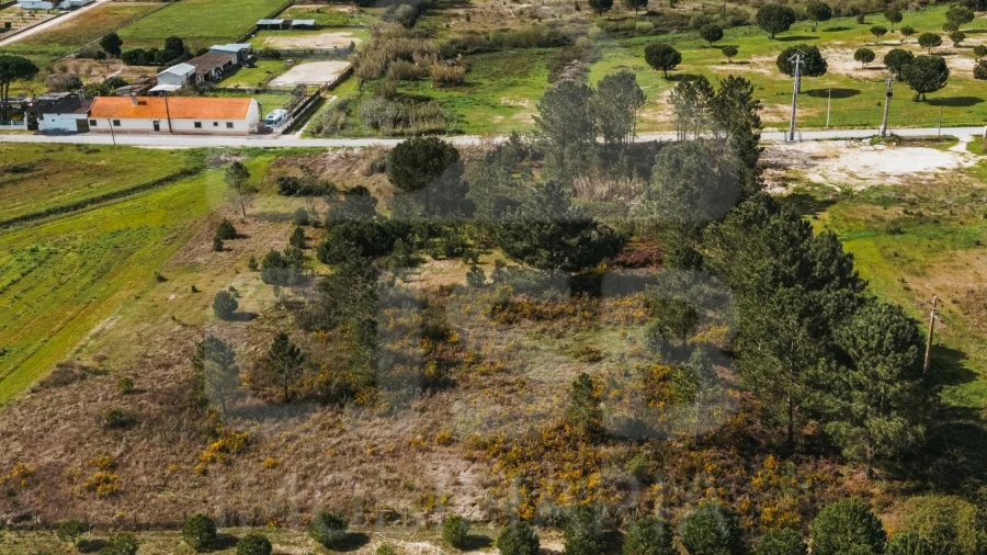Terreno para Venda em Santo Estêvão
