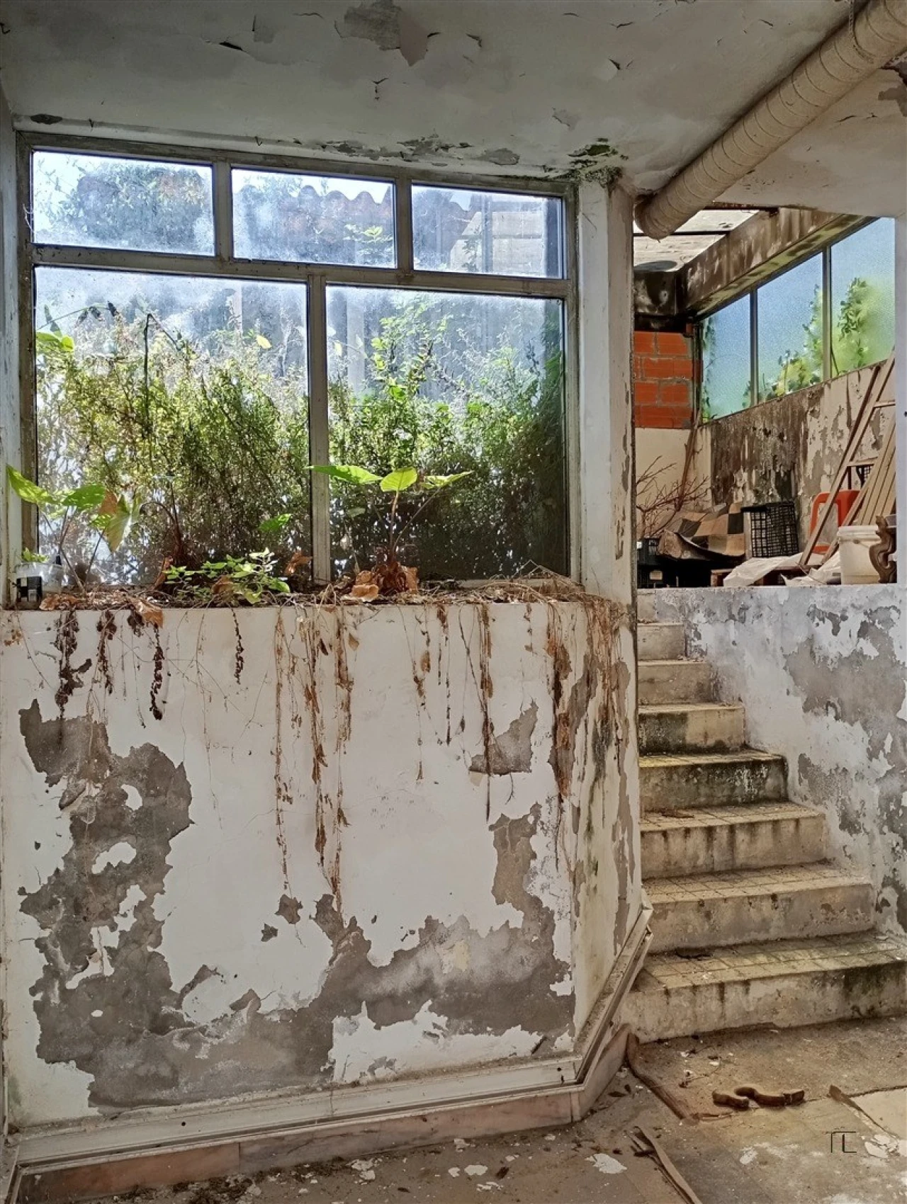 Prédio para Venda em Bonfim Foto 9