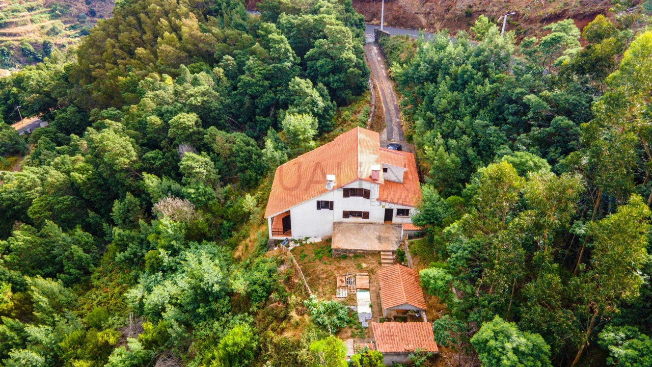Quinta T3 para Venda em Camacha Foto 5