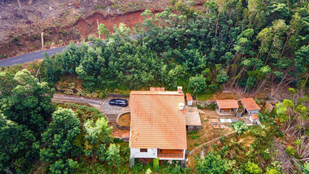 Quinta T3 para Venda em Camacha Foto 3