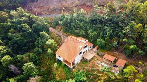 Quinta T3 para Venda em Camacha