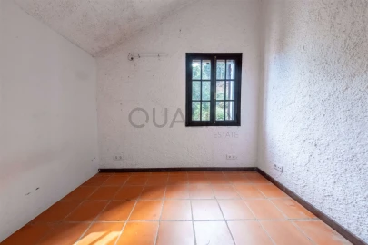 Quinta T3 para Venda em Camacha