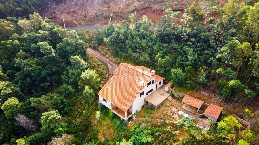 Quinta T3 para Venda em Camacha Foto 4