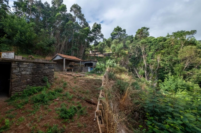 Quinta T3 para Venda em Camacha Foto 23