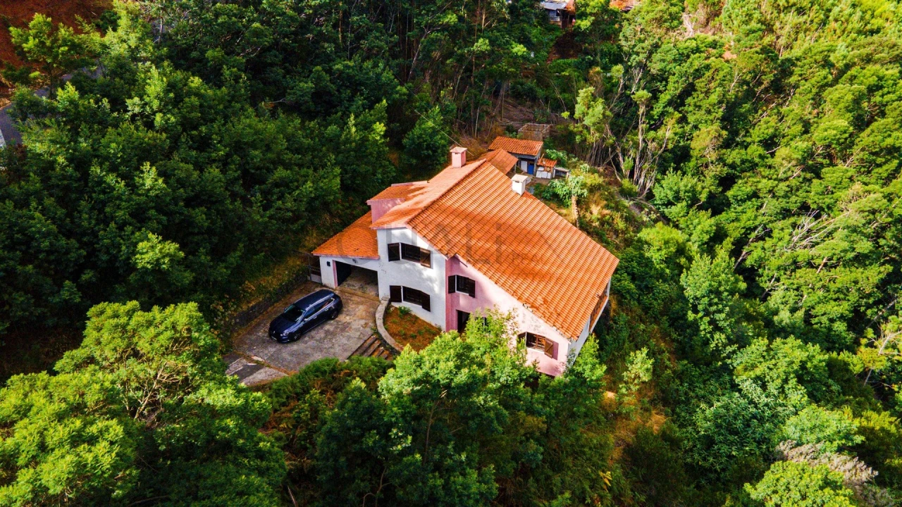 Quinta T3 para Venda em Camacha Foto 2