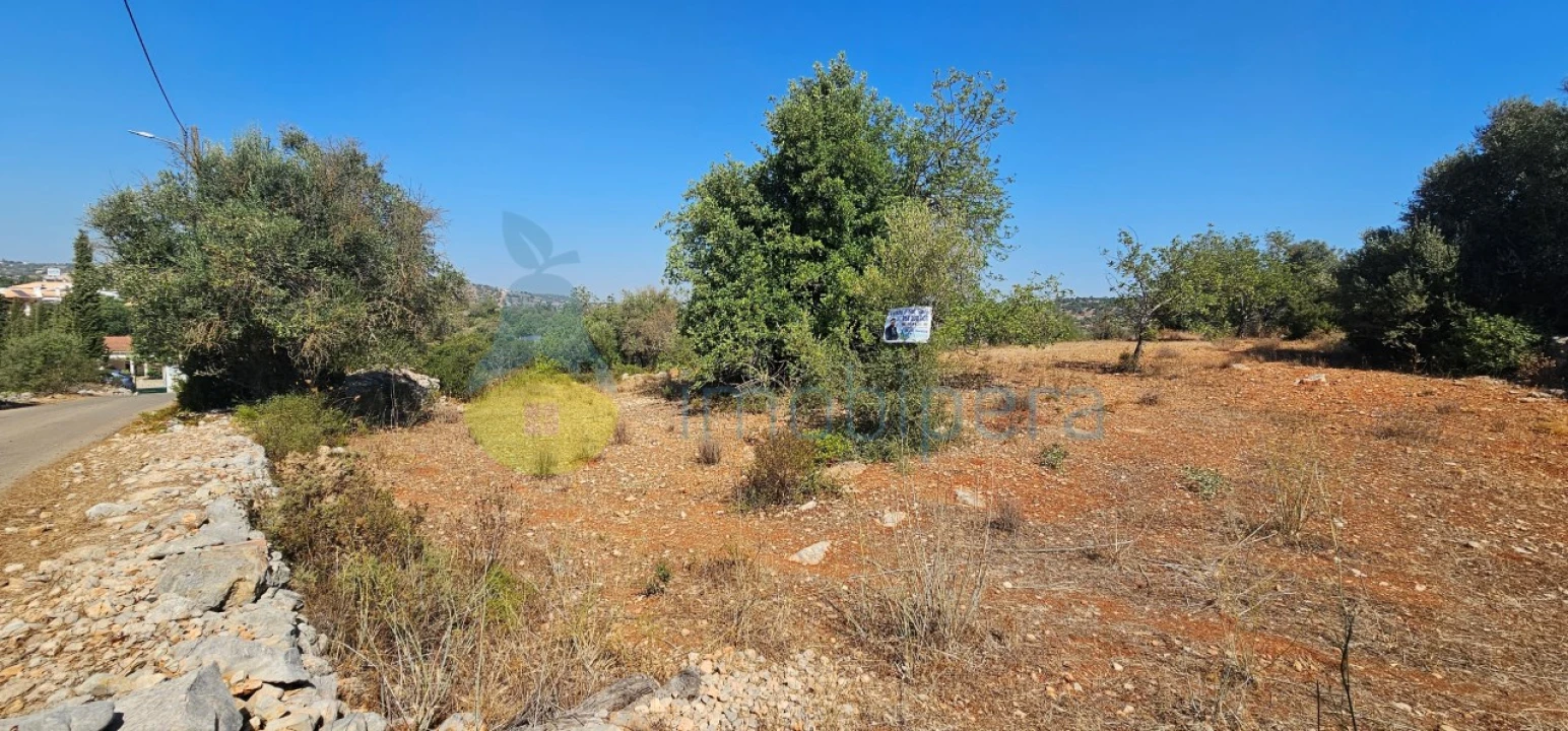 Terreno Agricola ou Rústico para Venda em Paderne Foto 2