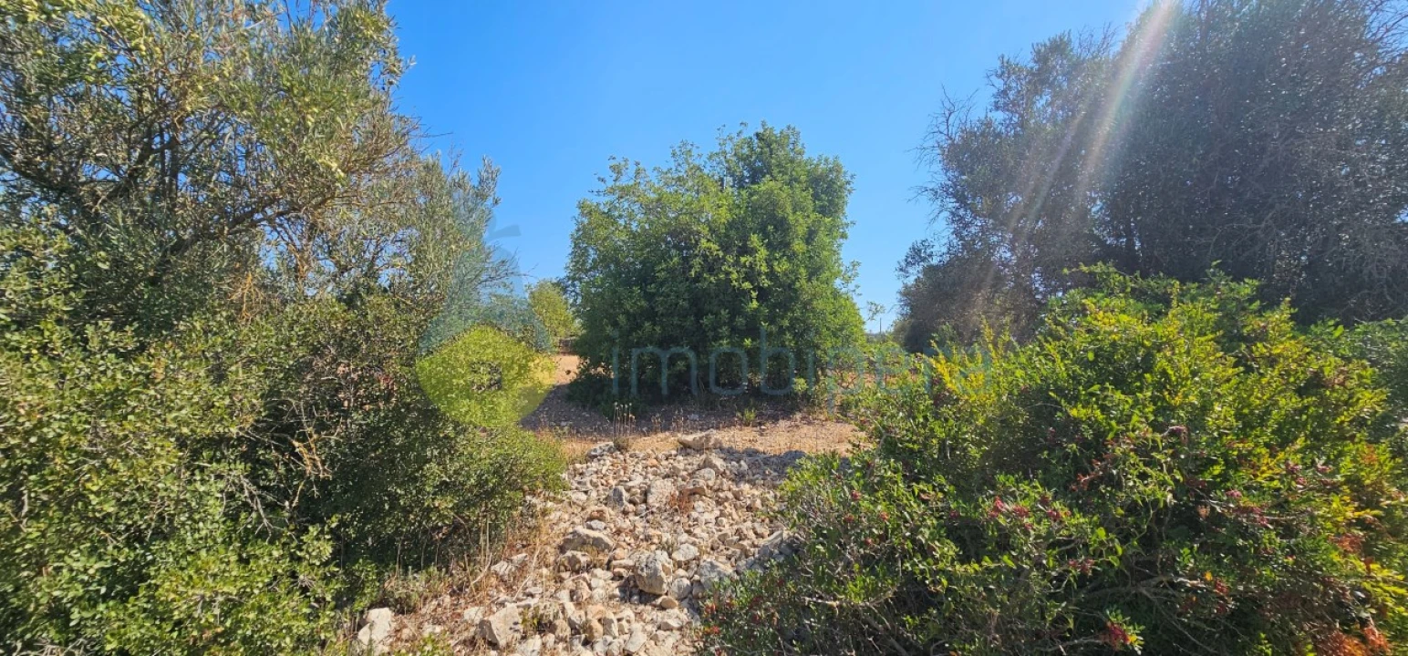 Terreno Agricola ou Rústico para Venda em Paderne Foto 3