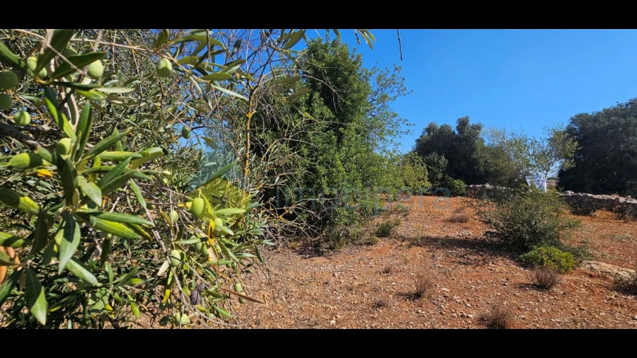 Terreno Agricola ou Rústico para Venda em Paderne