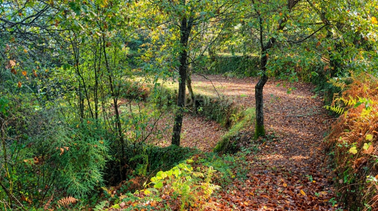 Terreno para Venda em Covas Foto 4