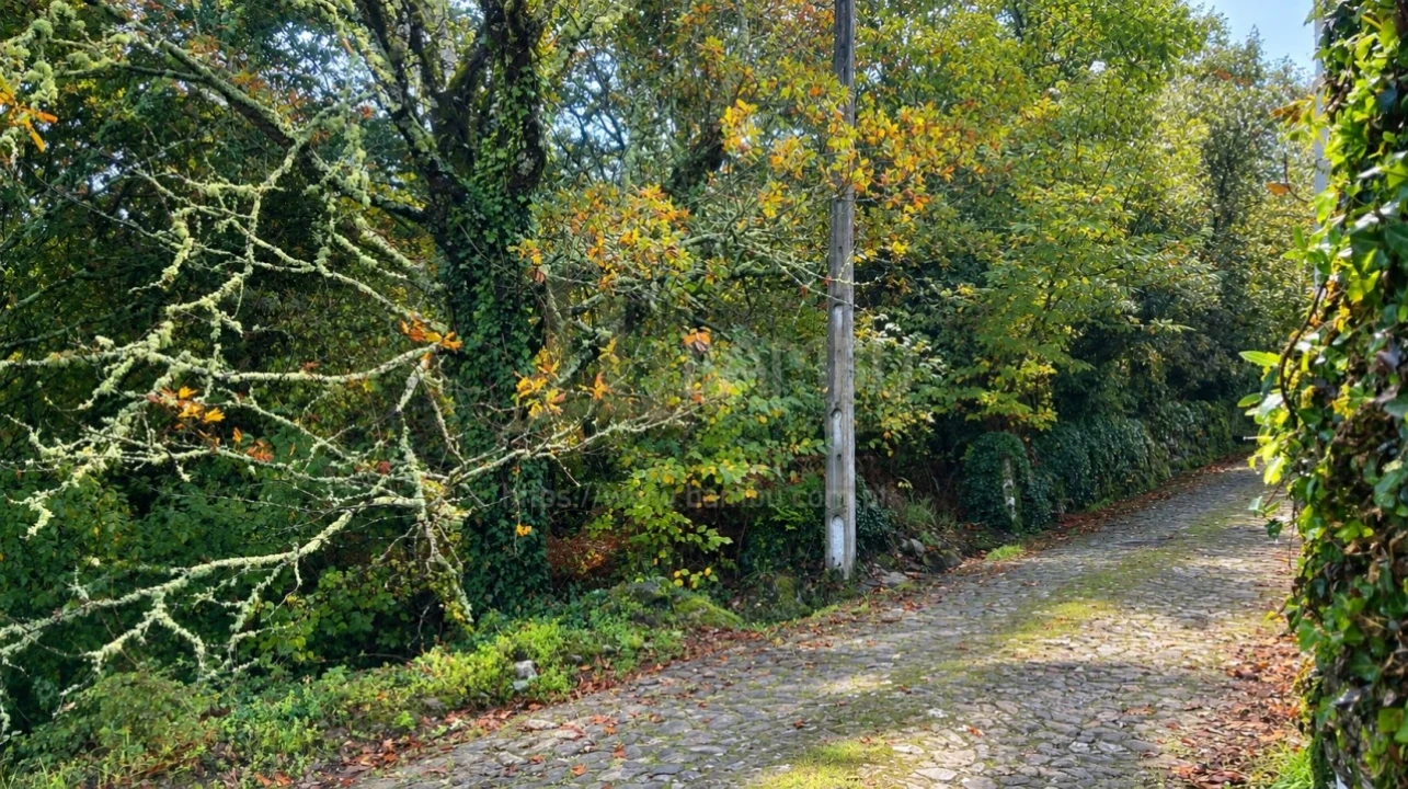 Terreno para Venda em Covas Foto 3