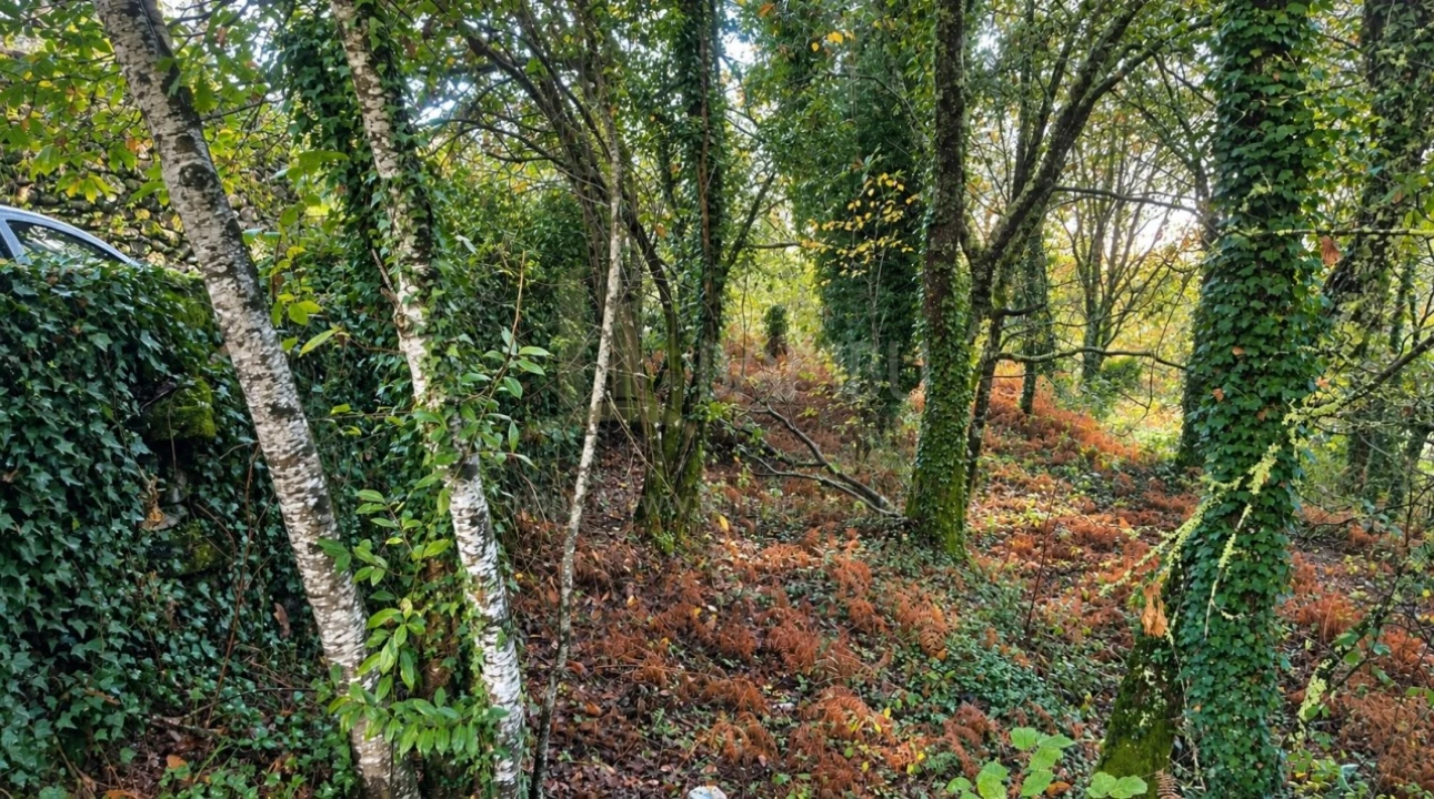 Terreno para Venda em Covas Foto 5