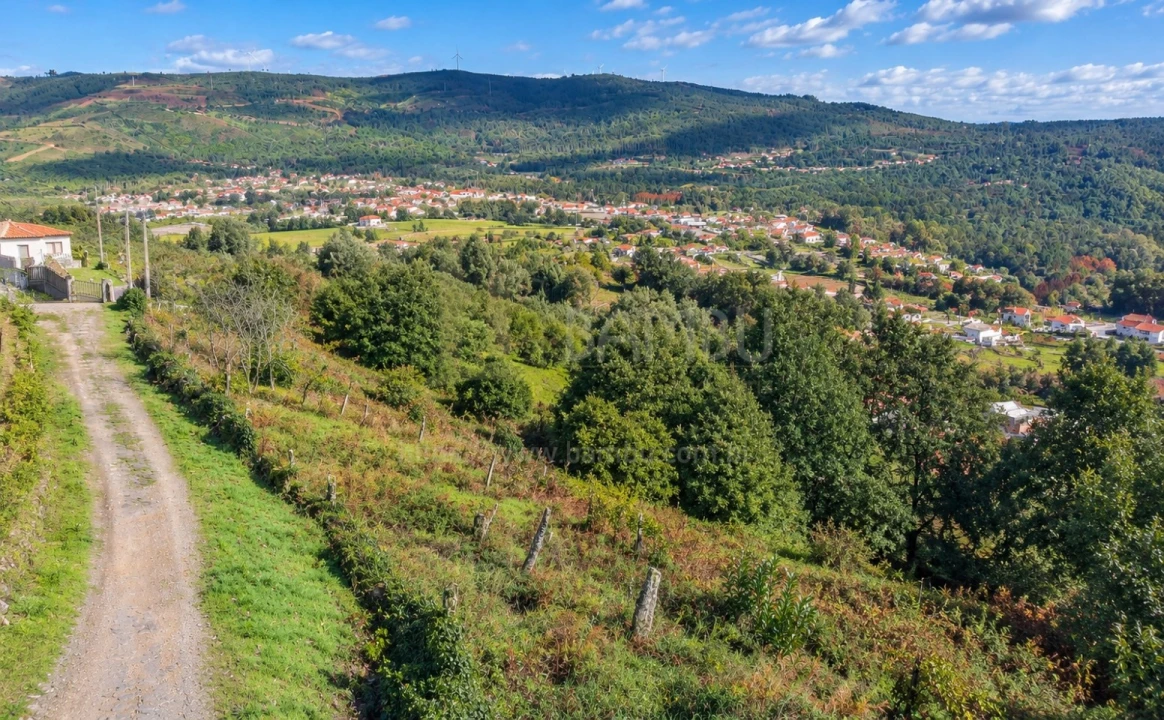 Terreno para Venda em Covas Foto 6