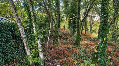 Terreno para Venda em Covas