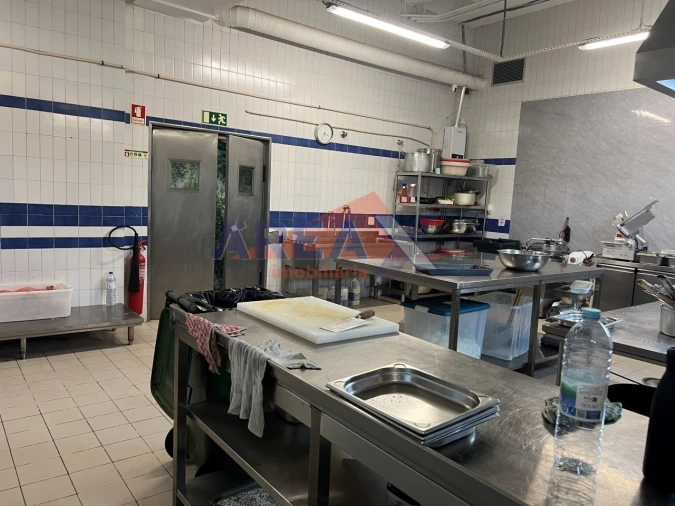 Negócio para Venda em O. Azeméis, Riba-Ul, Ul, Macinhata Seixa, Madail Foto 32