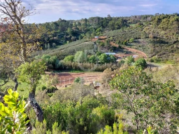 Terreno para Venda em Aljezur