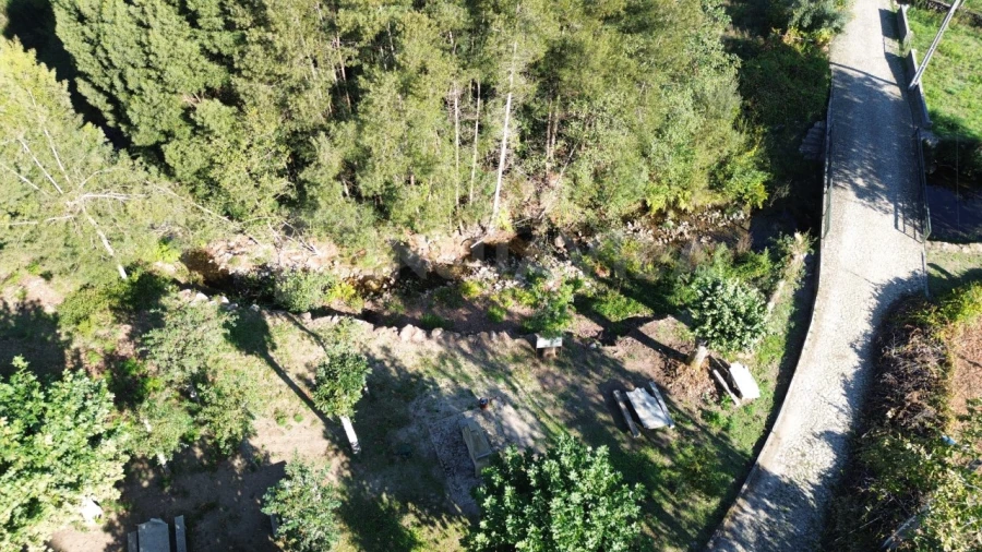 Moradia T4 para Venda em Argela Foto 45