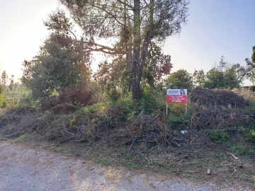 Terreno para Venda em Cernache do Bonjardim, Nesperal e Palhais