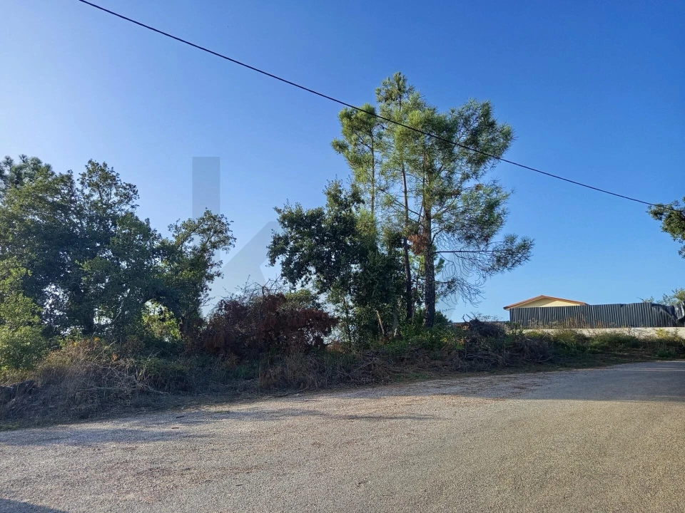 Terreno para Venda em Cernache do Bonjardim, Nesperal e Palhais Foto 2